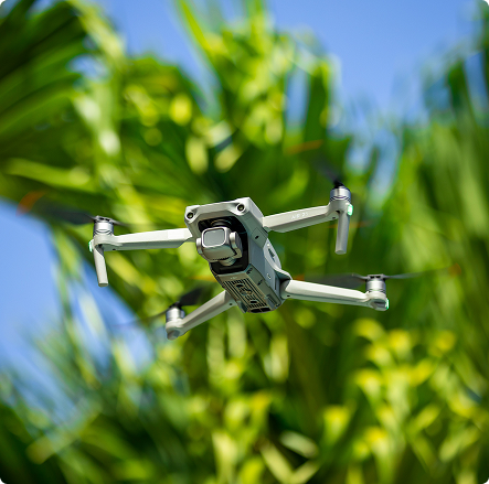 Drone